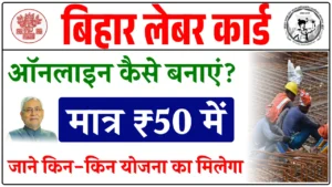 Your-paragraph-text-23 (1)